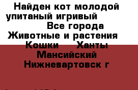 Найден кот,молодой упитаный игривый 12.03.2017 - Все города Животные и растения » Кошки   . Ханты-Мансийский,Нижневартовск г.